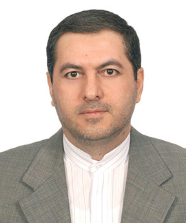 Seyed Hossein Mirjalili
